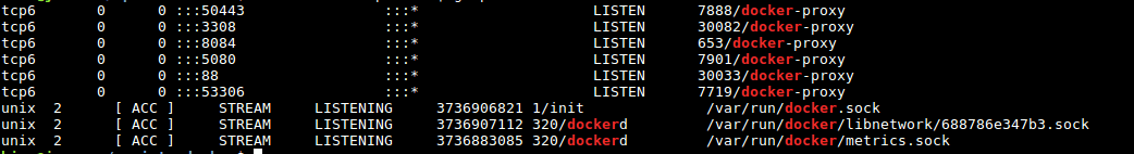 netstat liste docker engine