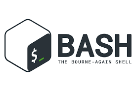 bash script linux